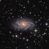 NGC2336_LRGB_web