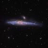 NGC4631_LRGB_Web
