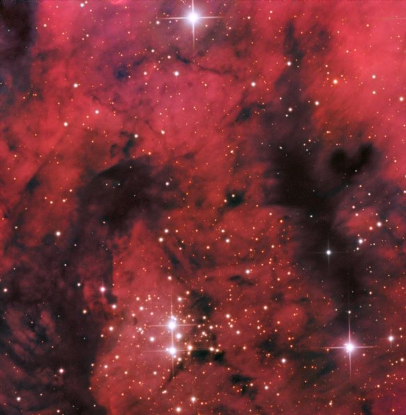NGC7822_HaLRGB_web